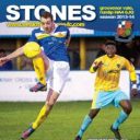 Next Up – Billericay Town at The Vale Sat 18th Jan